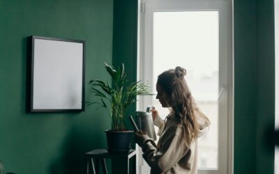 Best Plants for Apartments: Student Guide to Easy-Care Greenery